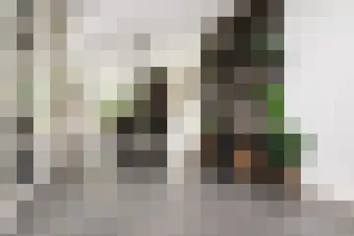 Waterlinie 54 Vijfhuizen thumbnail 4