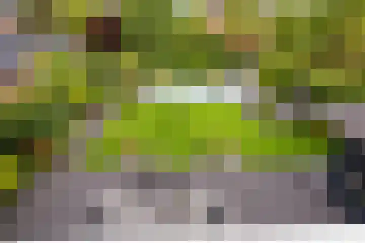 Waterlinie 54 Vijfhuizen thumbnail 42