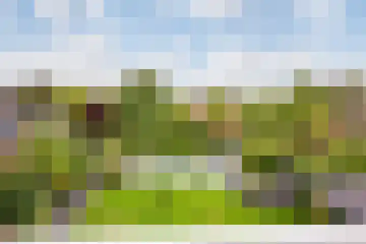 Waterlinie 54 Vijfhuizen thumbnail 43