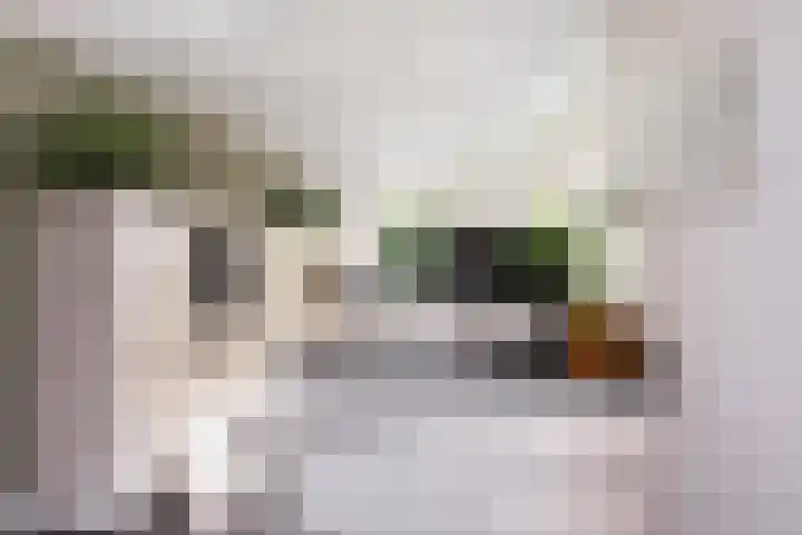 Waterlinie 54 Vijfhuizen thumbnail 5