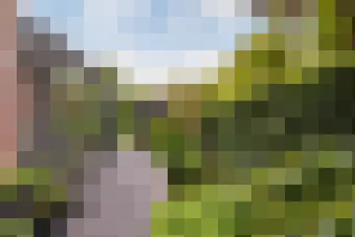 Waterlinie 54 Vijfhuizen thumbnail 56