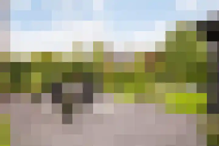 Waterlinie 54 Vijfhuizen thumbnail 57