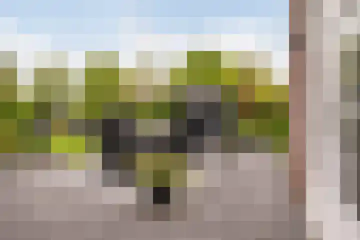 Waterlinie 54 Vijfhuizen thumbnail 58