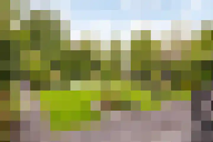 Waterlinie 54 Vijfhuizen thumbnail 59