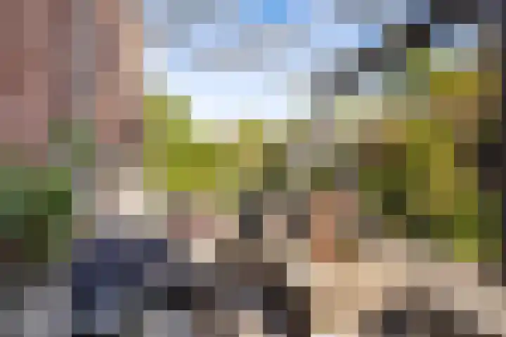 Waterlinie 54 Vijfhuizen thumbnail 6