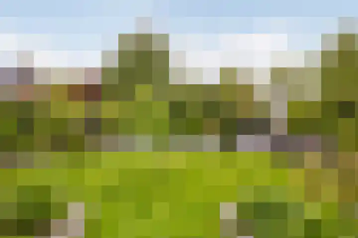 Waterlinie 54 Vijfhuizen thumbnail 60