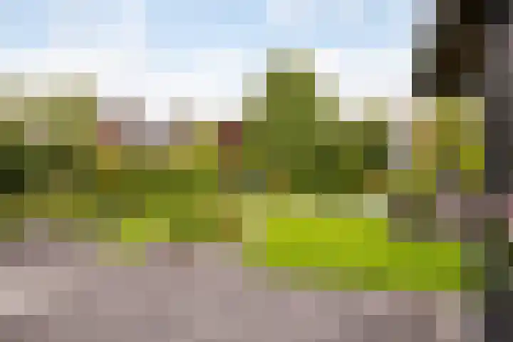 Waterlinie 54 Vijfhuizen thumbnail 61