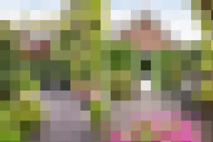 Waterlinie 54 Vijfhuizen thumbnail 62
