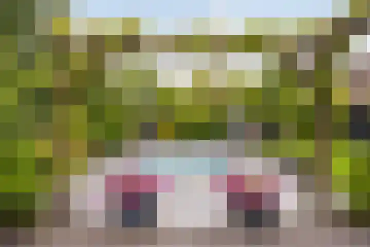 Waterlinie 54 Vijfhuizen thumbnail 63
