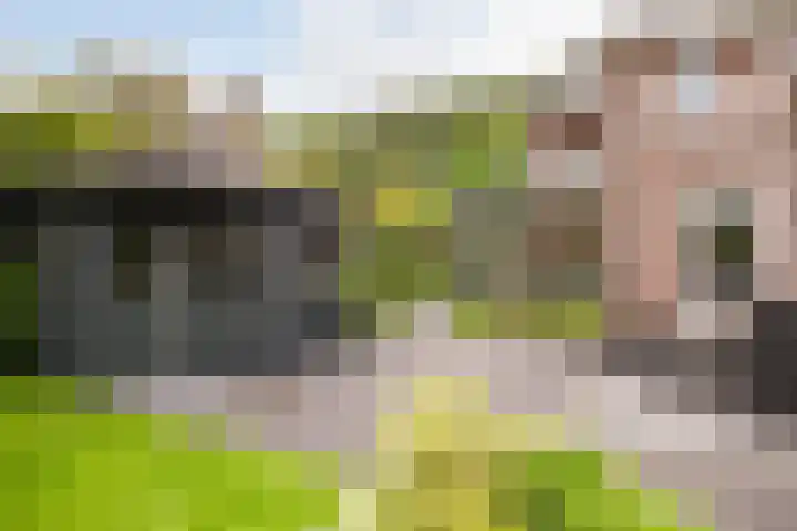 Waterlinie 54 Vijfhuizen thumbnail 65