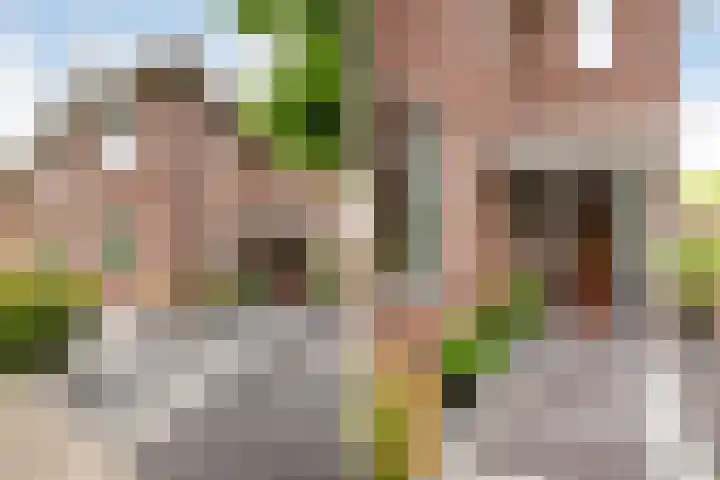 Waterlinie 54 Vijfhuizen thumbnail 8