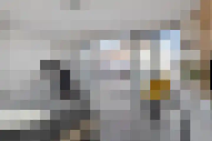 Waterlinie 575 Eindhoven thumbnail 31