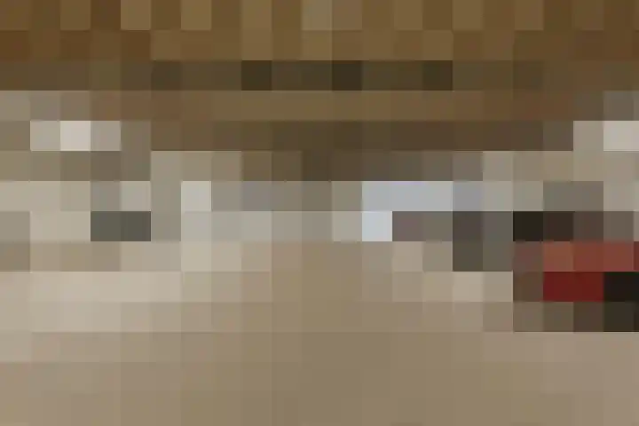 Waterlinie 575 Eindhoven thumbnail 37