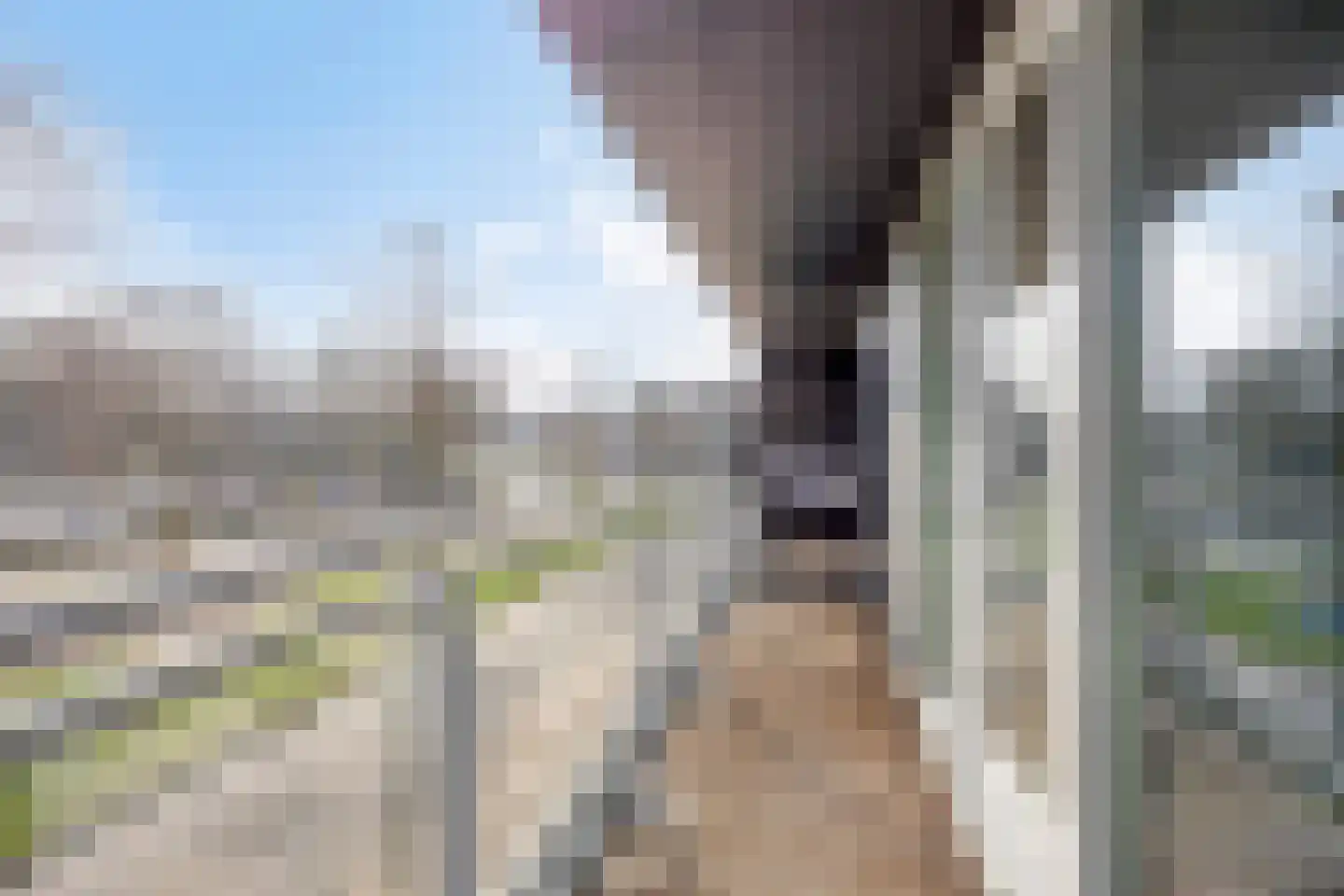 Waterlinie 595 Eindhoven thumbnail 23