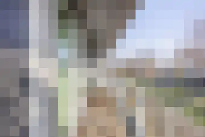 Waterlinie 595 Eindhoven thumbnail 24