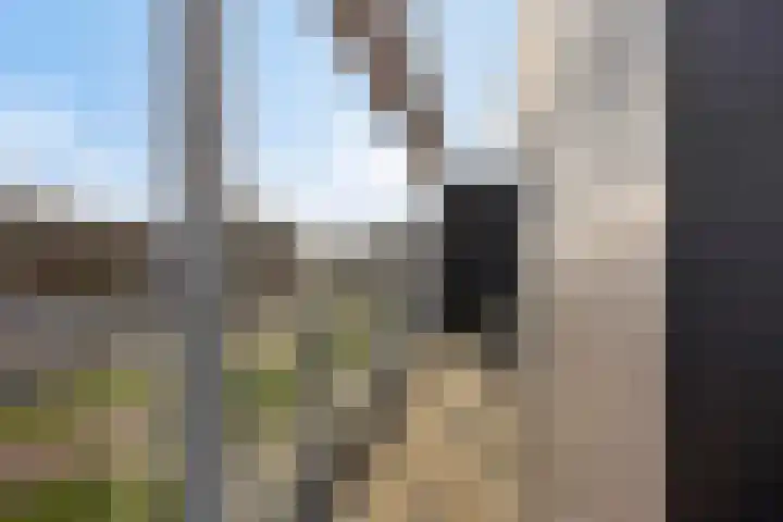 Waterlinie 595 Eindhoven thumbnail 39
