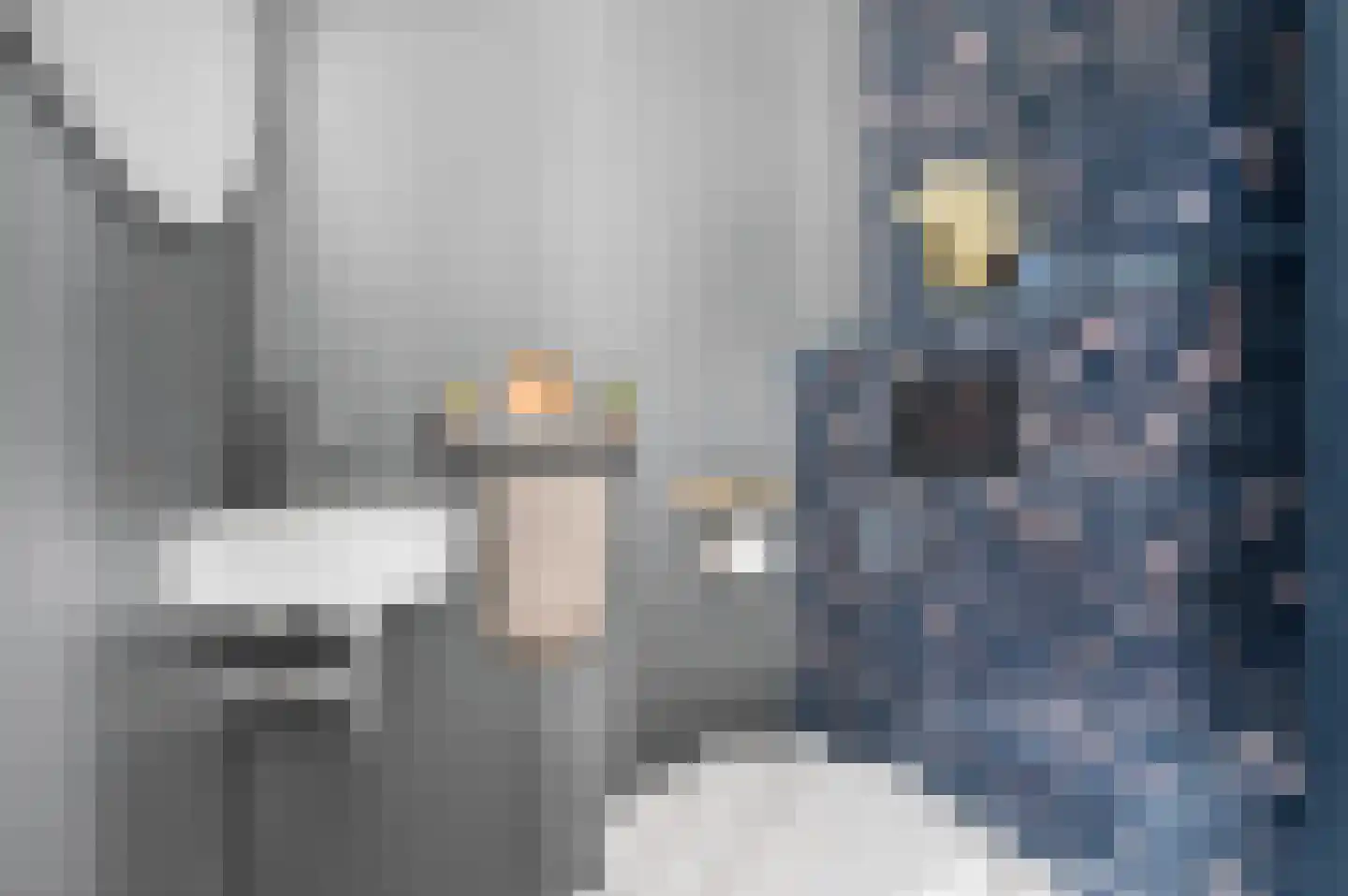 Waterlinie 62 Eindhoven thumbnail 30