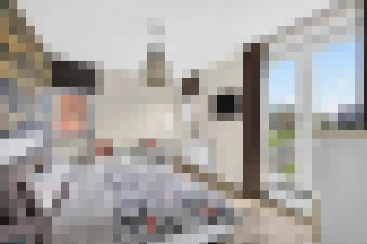 Waterlinie 62 Eindhoven thumbnail 4