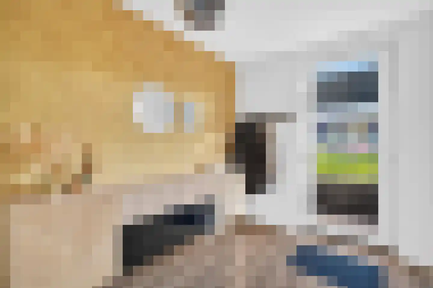 Waterlinie 62 Eindhoven thumbnail 7