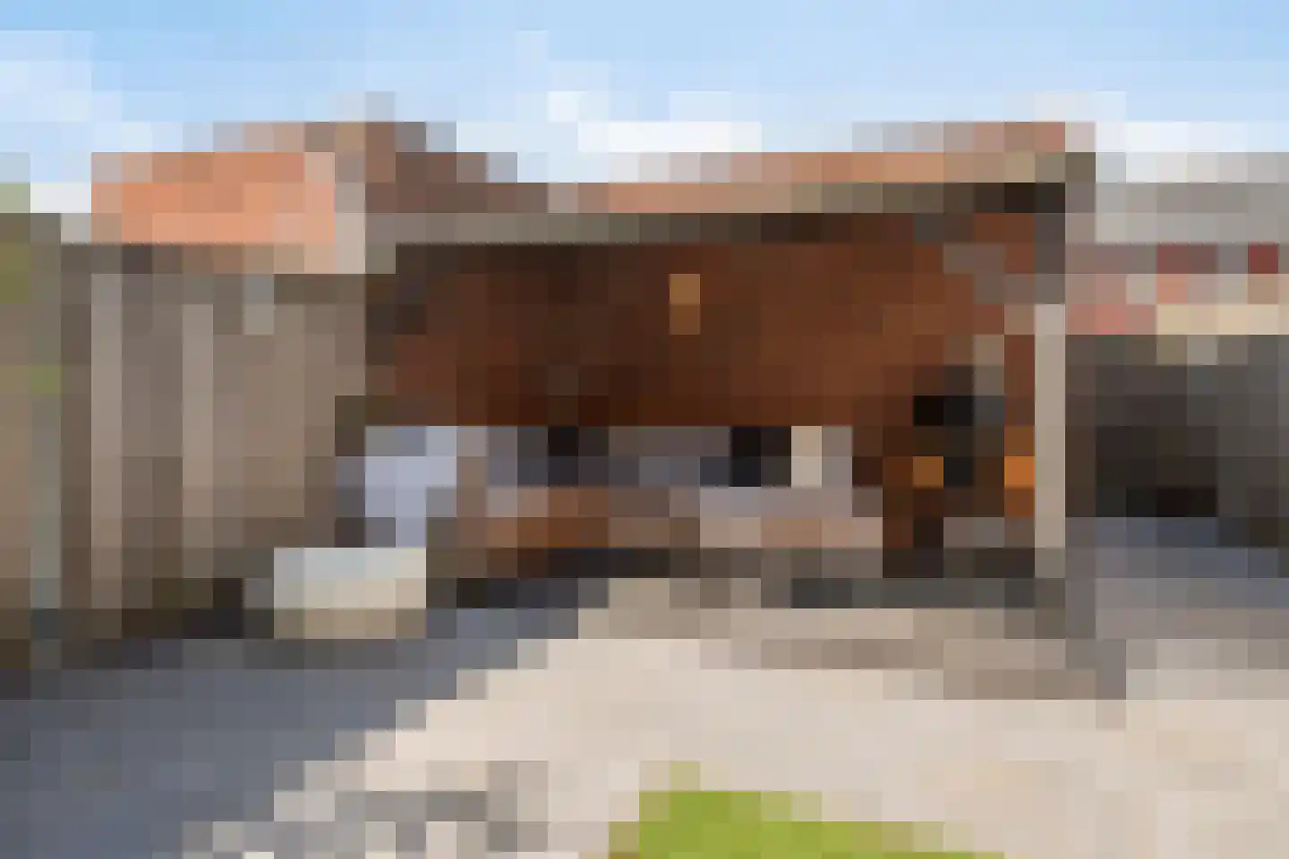 Waterlinie 66 Steenbergen thumbnail 38