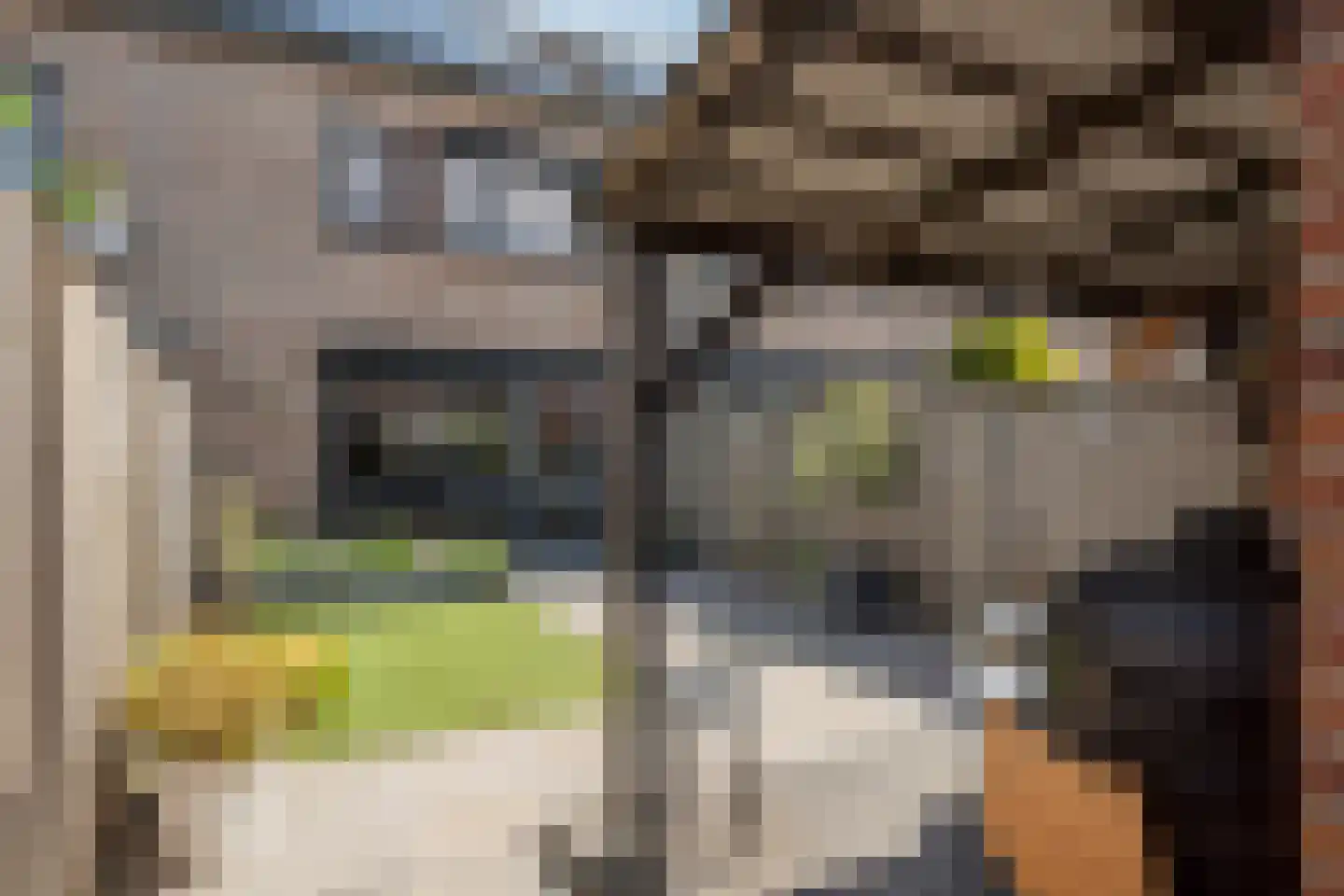 Waterlinie 66 Steenbergen thumbnail 40