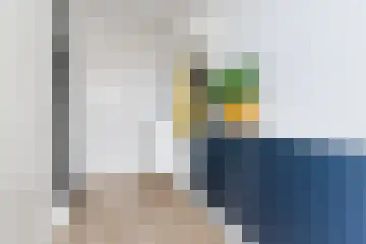 Waterlinie 72 Eindhoven thumbnail 10