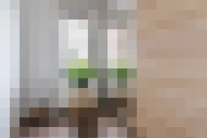 Waterlinie 72 Eindhoven thumbnail 23
