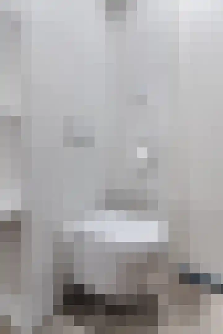 Waterlinie 72 Eindhoven thumbnail 31