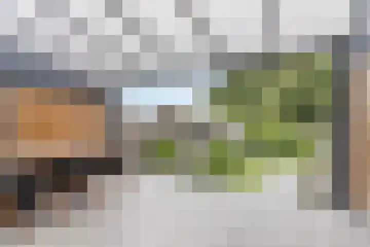 Waterlinie 72 Eindhoven thumbnail 42