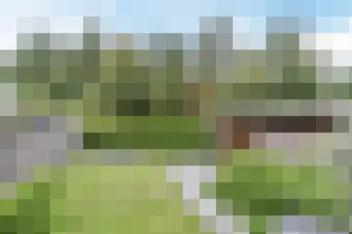 Waterlinie 72 Eindhoven thumbnail 5