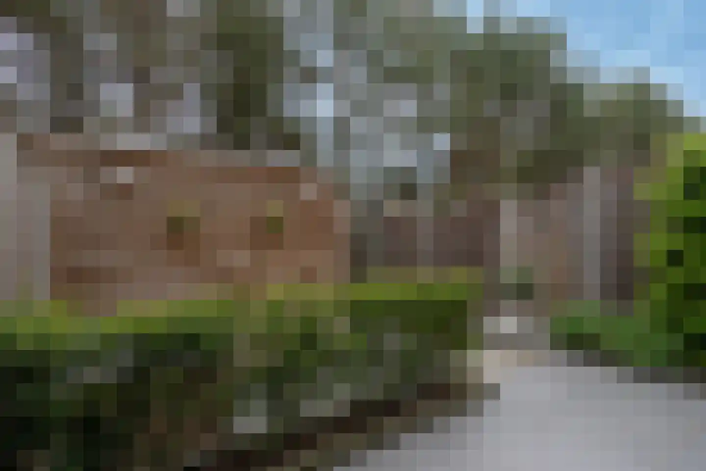 Waterlinie 77 Eindhoven thumbnail 52
