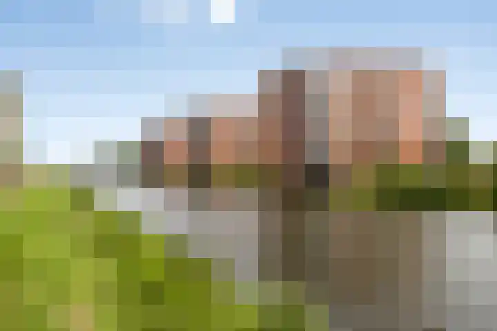 Waterlinze 82 Hellevoetsluis thumbnail 19