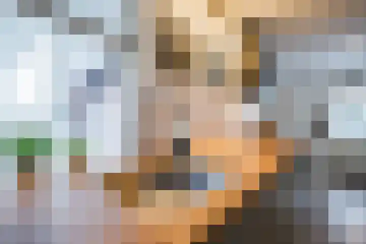 Waterloo 1 Valthe thumbnail 34