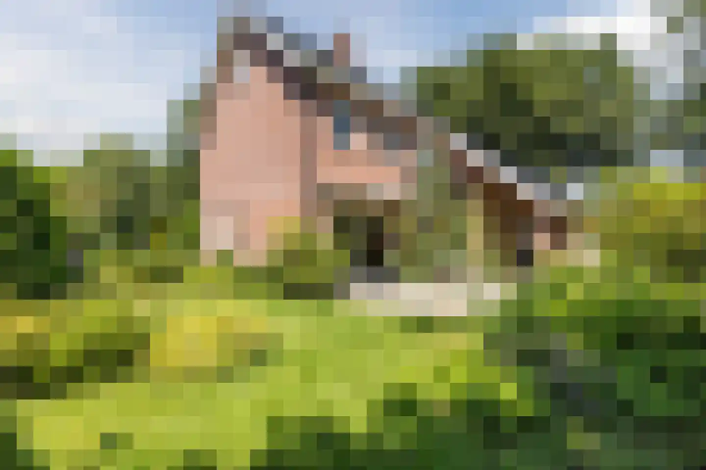 Waterloo 1 Valthe thumbnail 55