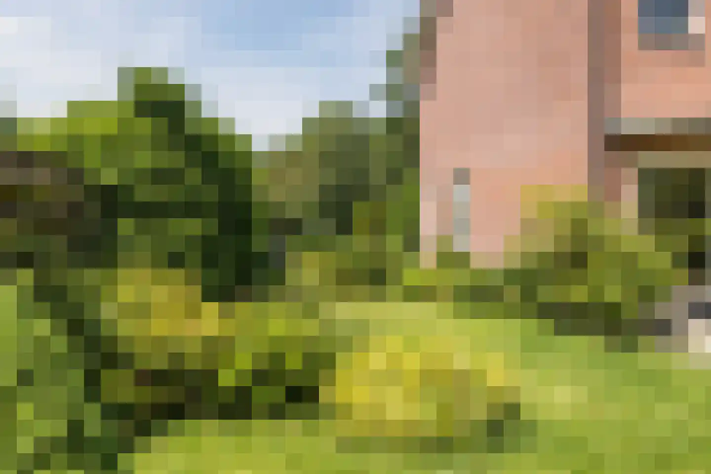Waterloo 1 Valthe thumbnail 56