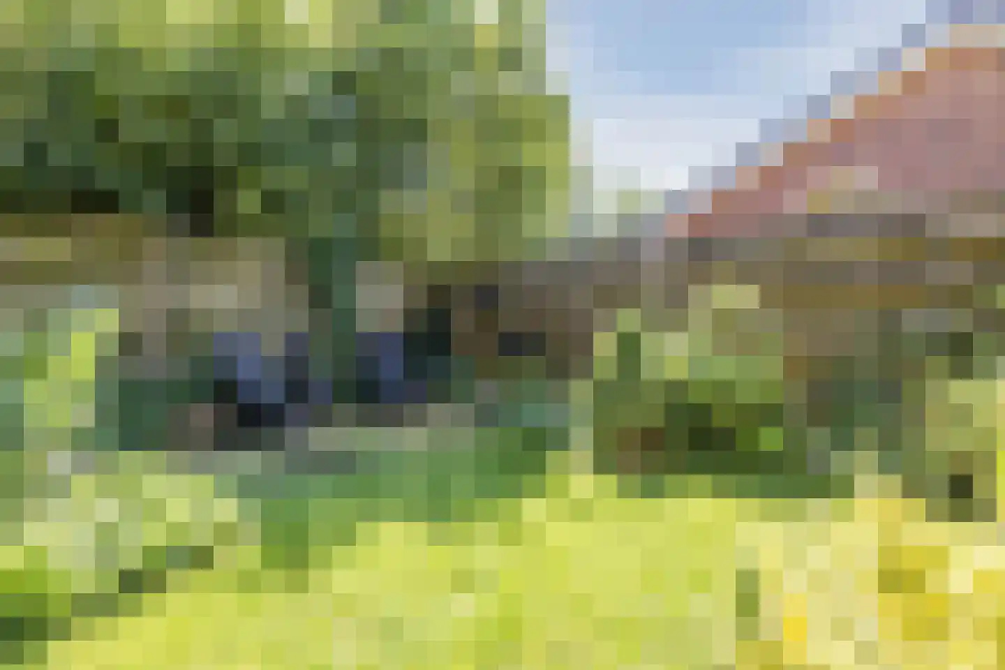 Waterloo 1 Valthe thumbnail 57