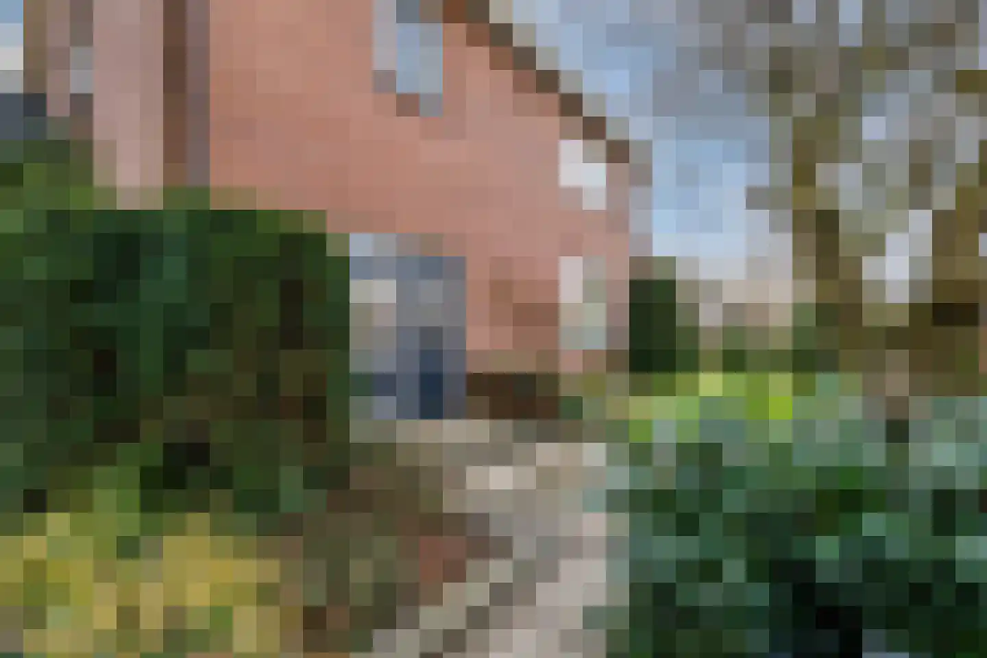 Waterloo 1 Valthe thumbnail 6