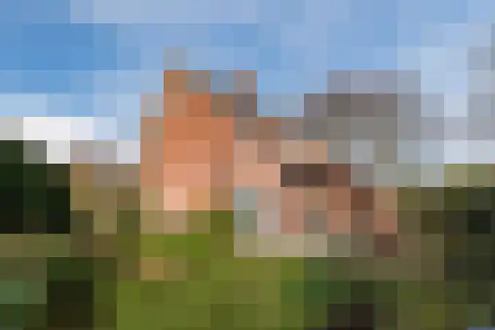 Waterloo 1 Valthe thumbnail 68