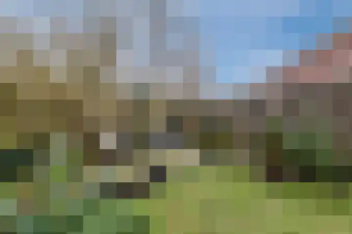 Waterloo 1 Valthe thumbnail 71
