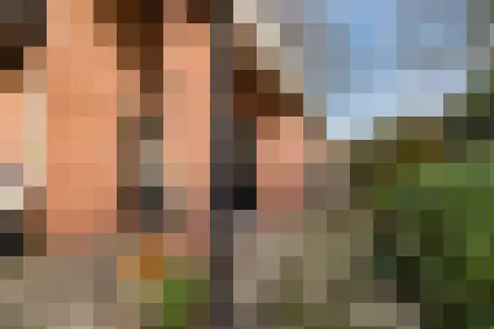 Waterloo 1 Valthe thumbnail 72