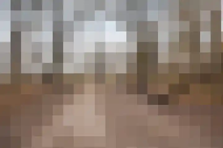 Waterloolaan 1 13 Groningen thumbnail 32