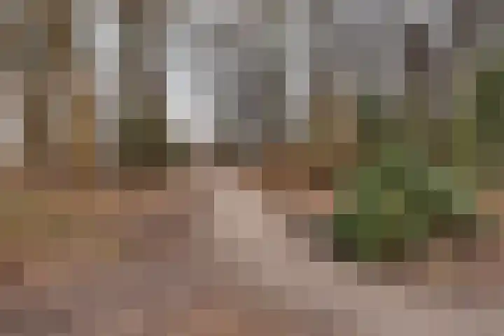 Waterloolaan 1 13 Groningen thumbnail 33