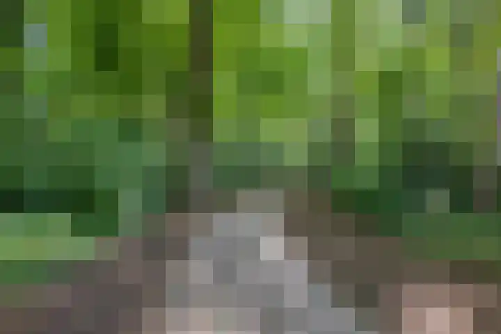 Waterloolaan 1 18 Groningen thumbnail 20