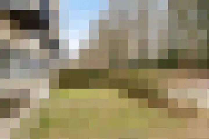 Waterloolaan 1 2 Groningen thumbnail 26