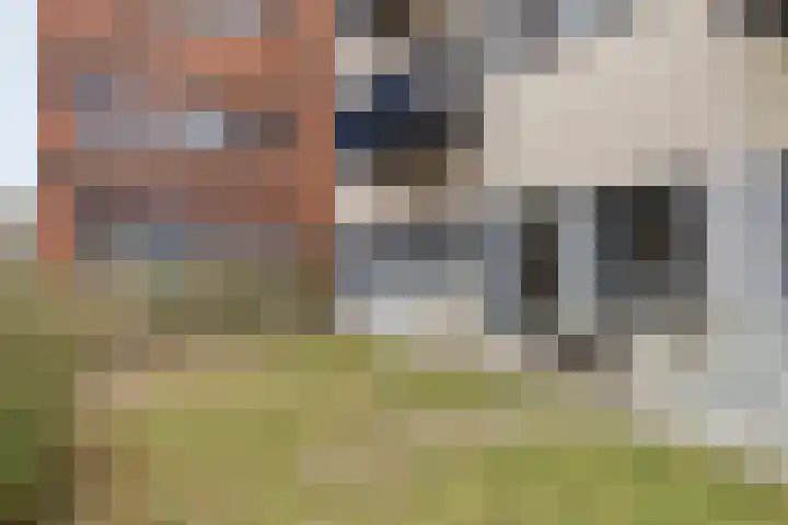 Waterloolaan 1 2 Groningen thumbnail 27