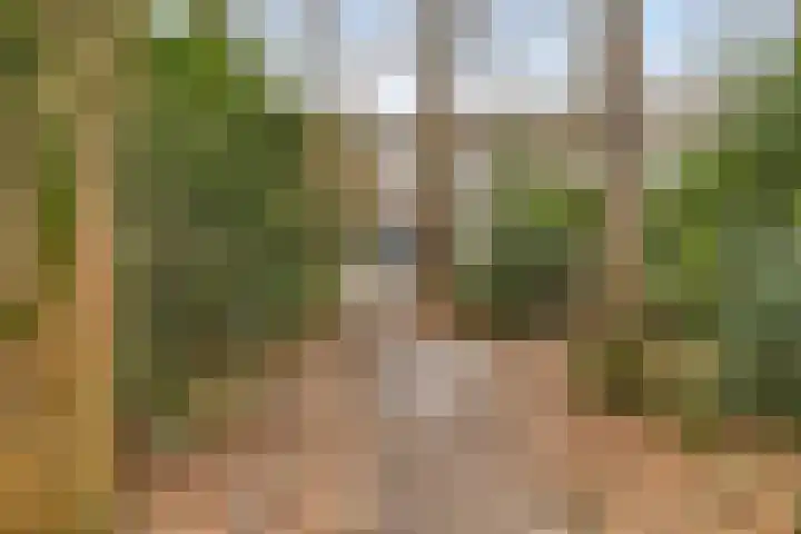 Waterloolaan 1 2 Groningen thumbnail 43