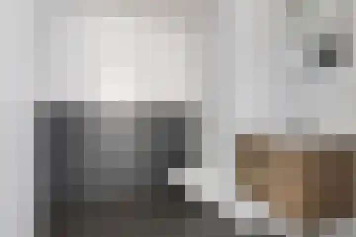 Waterloolaan 1 22 Groningen thumbnail 19