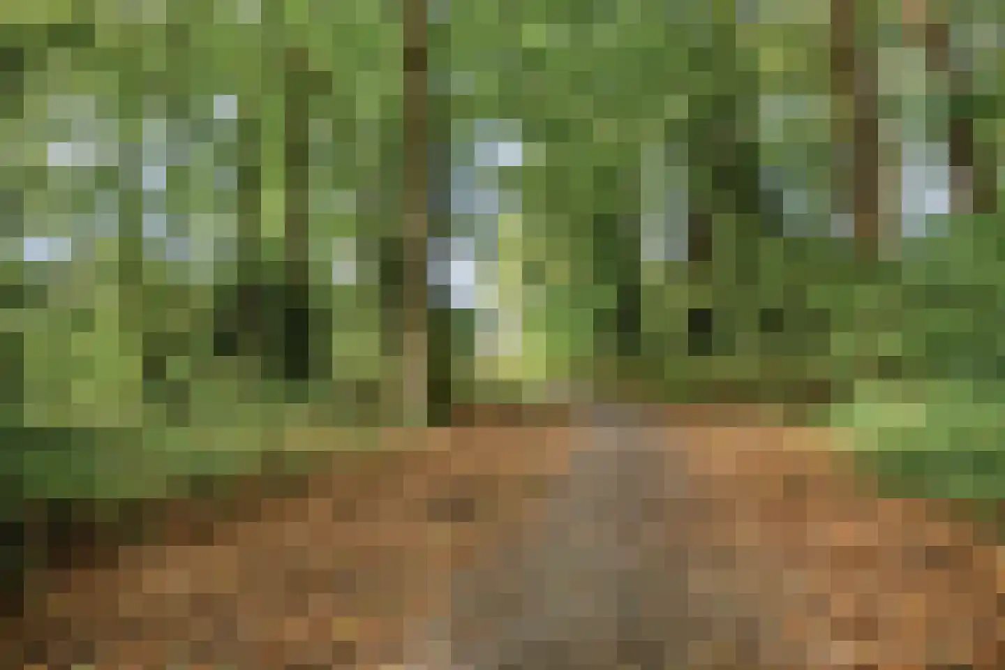Waterloolaan 1 28 Groningen thumbnail 20