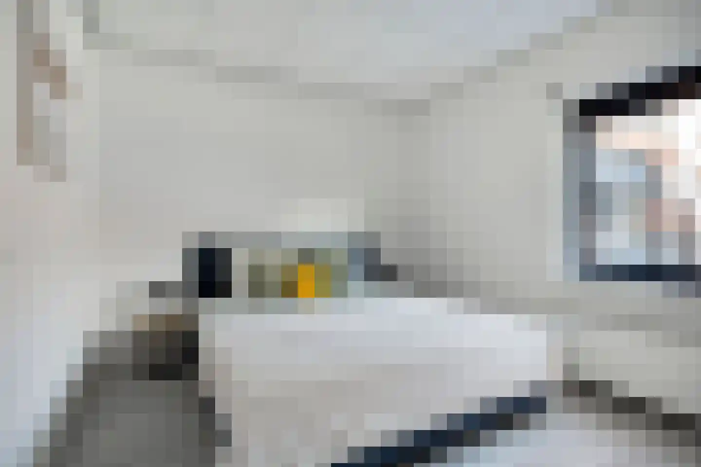 Waterloolaan 1 3 Groningen thumbnail 11