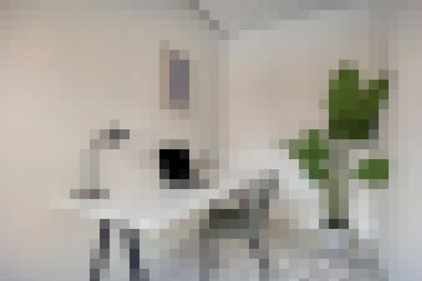 Waterloolaan 1 3 Groningen thumbnail 14